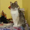 Отзыв от Серафима Дроздова